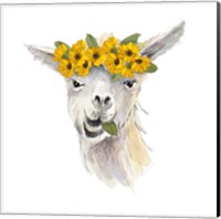 Framed 'Floral Llama I' border=