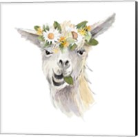 Framed 'Floral Llama III' border=