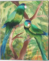 Framed 'Tropical Birds II' border=