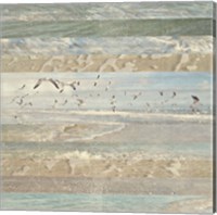 Framed 'Flying Beach Birds I' border=