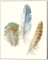 Framed 'Watercolor Feathers III' border=