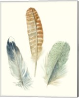 Framed 'Watercolor Feathers IV' border=