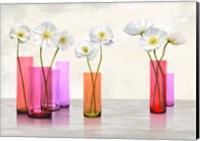 Framed Poppies in crystal vases (Purple palette)