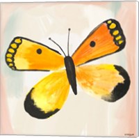 Framed 'Butterfly IV' border=