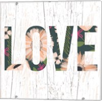 Framed 'Floral Love' border=