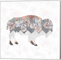 Framed 'Square Buffalo' border=