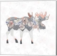 Framed 'Square Moose' border=