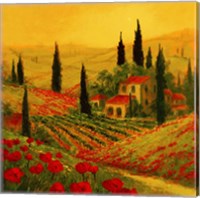 Framed 'Poppies of Toscano II' border=