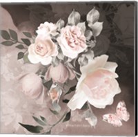 Framed 'Noir Roses IV' border=