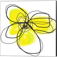 Framed 'Yellow Petals Two' border=