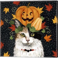 Framed 'Halloween Cat II' border=