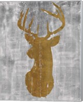 Framed 'Rustic Lodge Animals Deer Head on Grey' border=