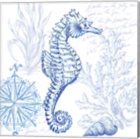 Framed 'Coastal Sketchbook Sea Horse' border=