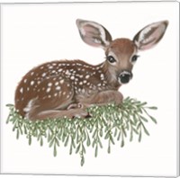 Framed 'Fawn' border=