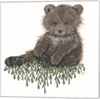 Framed 'Baby Bear' border=