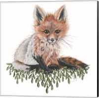 Framed 'Baby Fox' border=