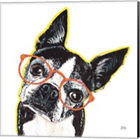 Framed 'Bespectacled Pet IV' border=