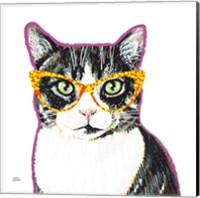 Framed 'Bespectacled Pet III' border=