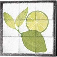 Framed 'Citrus Tile VII Black Border' border=