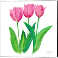 Framed 'Tulips I' border=