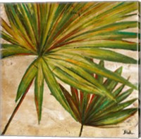 Framed 'New Palmera Take Two II' border=