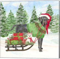 Framed 'Dog Days of Christmas II Sled with Gifts' border=