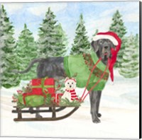 Framed 'Dog Days of Christmas II Sled with Gifts' border=