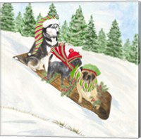 Framed 'Dog Days of Christmas III Sledding' border=