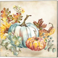 Framed 'Watercolor Harvest Pumpkin III' border=