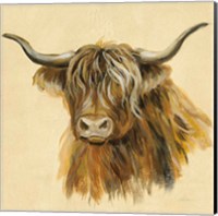 Framed 'Highland Animal Cow' border=