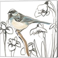 Framed 'Songbird Meadow II' border=