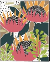 Framed 'King Protea I' border=