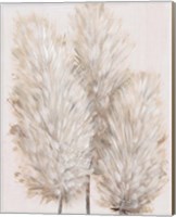 Framed 'Pampas Grass IV' border=