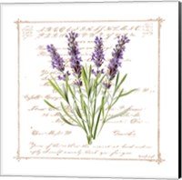 Framed 'Floral III' border=