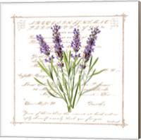 Framed 'Floral III' border=