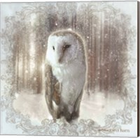 Framed 'Enchanted Winter Owl' border=