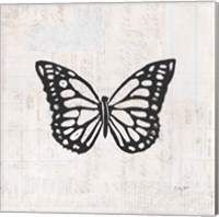 Framed 'Butterfly Stamp BW' border=