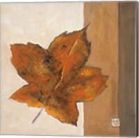 Framed 'Leaf Impression - Rust' border=