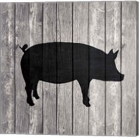 Framed 'Barn Pig' border=