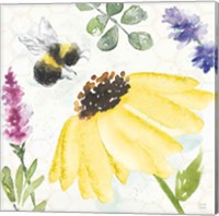 Framed 'Bee Harmony III' border=