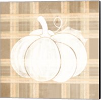 Framed 'Plaid Pumpkin I' border=