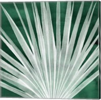 Framed 'Velvet Palm I' border=