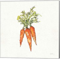 Framed 'Veggie Market V Carrots' border=