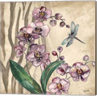 Framed 'Boho Orchid & Dragonfly I' border=