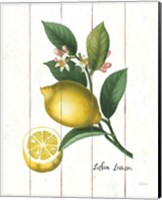 Framed 'Cottage Lemon I' border=