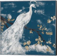 Framed 'White Peacock on Indigo I' border=