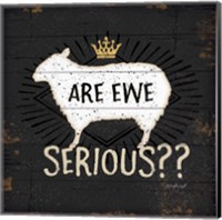 Framed 'Are Ewe Serious' border=