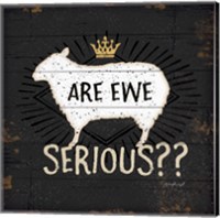 Framed 'Are Ewe Serious' border=