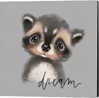 Framed 'Dream Raccoon' border=