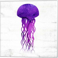 Framed 'Jelly Fish' border=